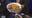 Leftover prime rib ramen bowl recipe