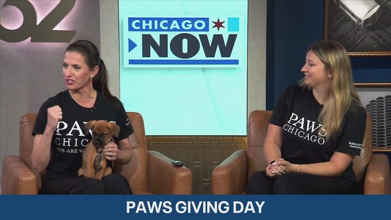 Make tails wag by supporting PAWS Chicago's annual giving day | Chicago NOW