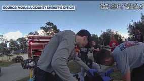 Florida woman hits student with truck, covers license plate, and drives off: deputies