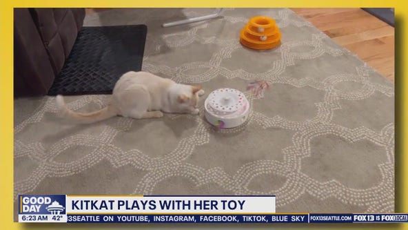 Pet Tricks for Tuesday, April 22