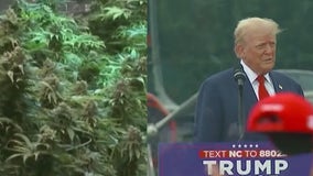 Donald Trump claims support for Amendment 3