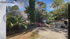 Brushfire danger, swamp flowers, and climate change on fall foliage | Forecasting With Friends