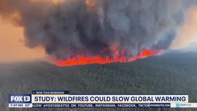 Wildfires could slow global warming, according to new study