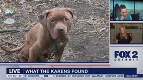 Lori's Tories The Karens part 2