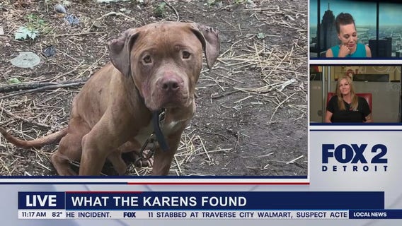 Lori's Tories The Karens part 2