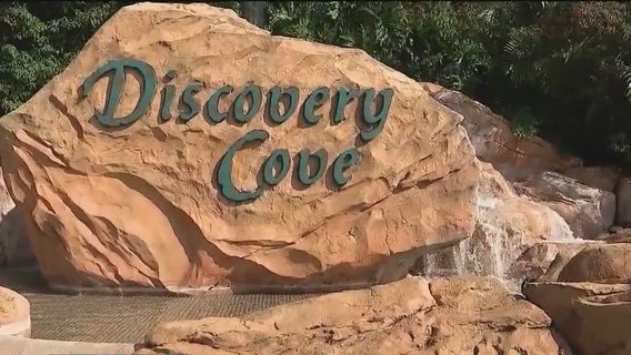 Man dies after being found unresponsive in Discovery Cove Orlando pool: Sheriff's office