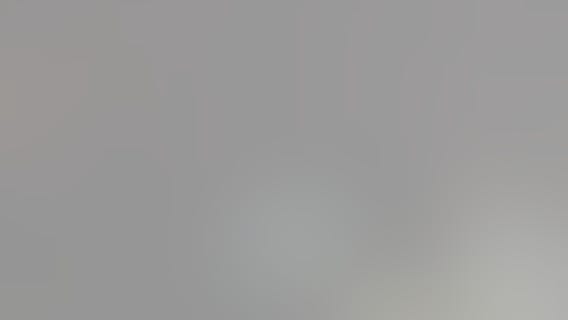 Florida barefoot gator wrangler helps remove unwanted guest