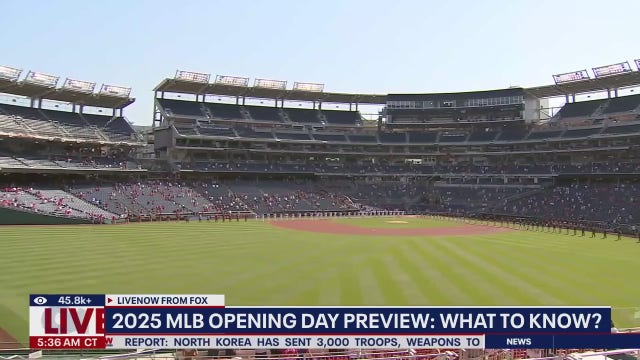 Nationals' bat-retrieving dog Bruce laps up pregame attention, makes MLB debut
