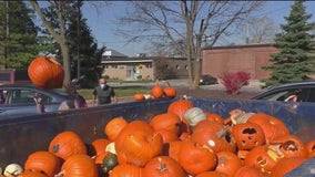 Leftover pumpkins? DuPage Forest Preserve says think before you dispose