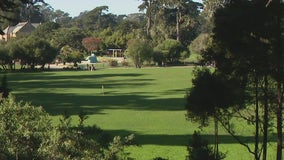 The pushback over fewer volleyball nets at Golden Gate Park