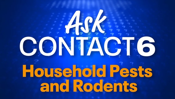 Episode 9: Household Pests and Rodents