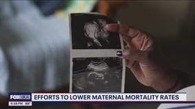 Efforts to lower maternal mortality rates