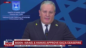 Israel-Hamas ceasefire confirmed by US and Qatar