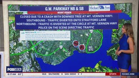 Crash downs tree, shuts stretch of GW Parkway in Virginia