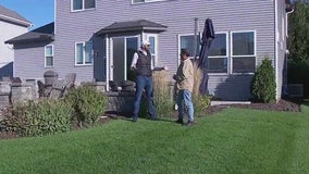 Fall lawn care DIY tips to get ready for winter