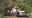 Lightning strike topples tree onto truck, trapping man