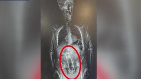 Weird, wacky Florida stories