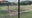 Town Ball Tour: Springfield Tigers 13, Gibbon Reds 1 [FULL GAME]