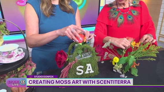 Creating moss art with ScentiTerra