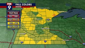 MN fall color forecast: Colors starting to show up