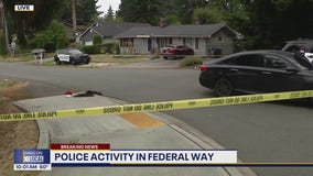 Police activity in Federal Way, WA