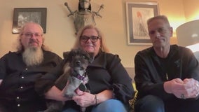 Missing mini schnauzer found after 50 days on his own