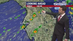 Tampa weather: Saturday evening forecast