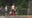 South Jersey Little Leaguer granted reprieve to play after bat-flipping suspension