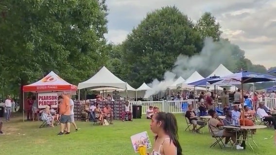 Atlanta Dogwood Festival faces shutdown ahead of 90th year