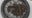 Benefits of earthworms for soil health: Mad Science