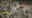 Body of woman found 80-feet below Mohave County cliff