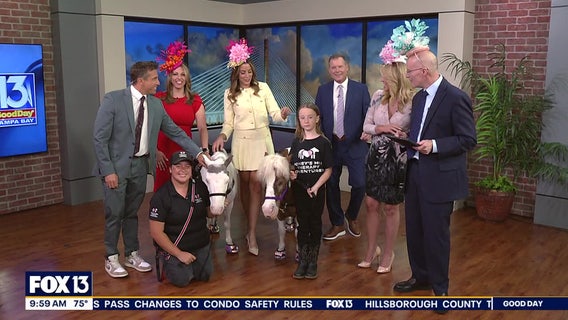 Good Day Goodies: May 2, 2025