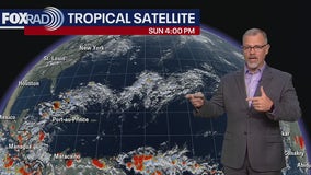 Tropical Weather Forecast - June 9, 2024