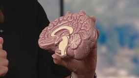 Study: COVID rapidly aged teen's brains