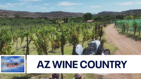 Alcantara Vineyard & Winery | Drone Zone