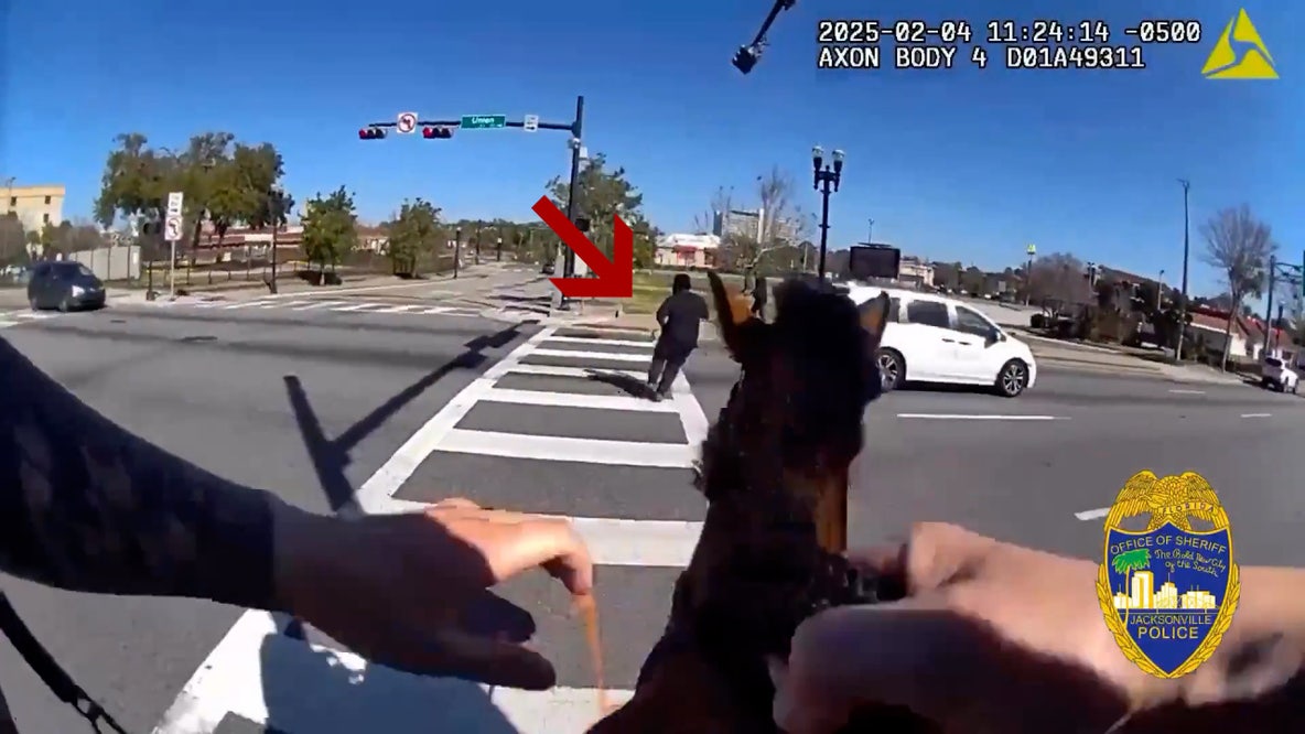 Video: Police horse nabs man after wild chase