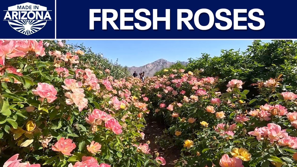 April & Ashley | Made in Arizona