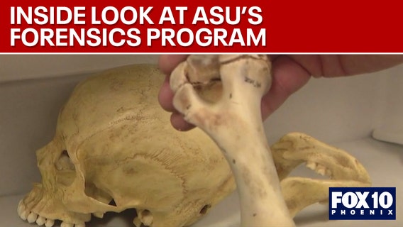 ASU's forensic program sees exceptional growth