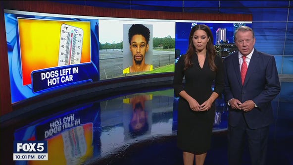 FOX 5 News at 10 p.m. July 10, 2025