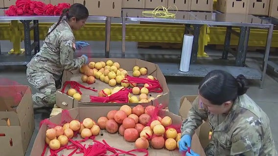 Millions set to lose SNAP benefits