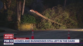 Many WA homes, businesses left in the dark Wednesday night