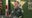 17 arrested in drug trafficking operation in Florida
