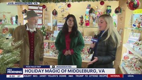 Christmas in Middleburg, VA