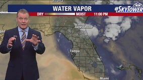 Tampa weather | heat advisories in effect