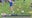 Hometown team: Arlington Soccer Association
