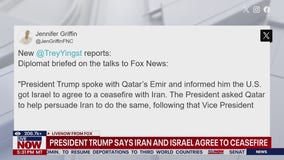 Vance reacts to Trump's ceasefire announcement