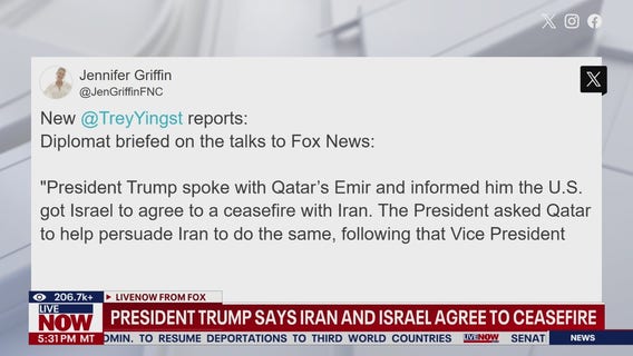 Vance reacts to Trump's ceasefire announcement