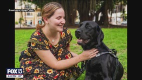 International Guide Dog Day