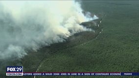 Tea Tree Hill Wildfire burning in Wharton State Forest