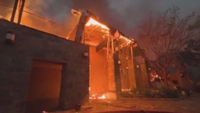 LA wildfires: 6 months later